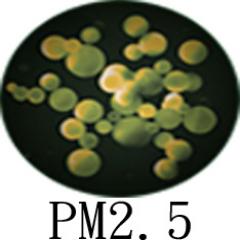 細懸浮微粒偵測器、PM2.5